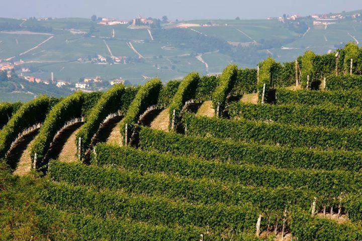 Agriturismo Cascina Rabalot Diano dʼAlba Buitenkant foto