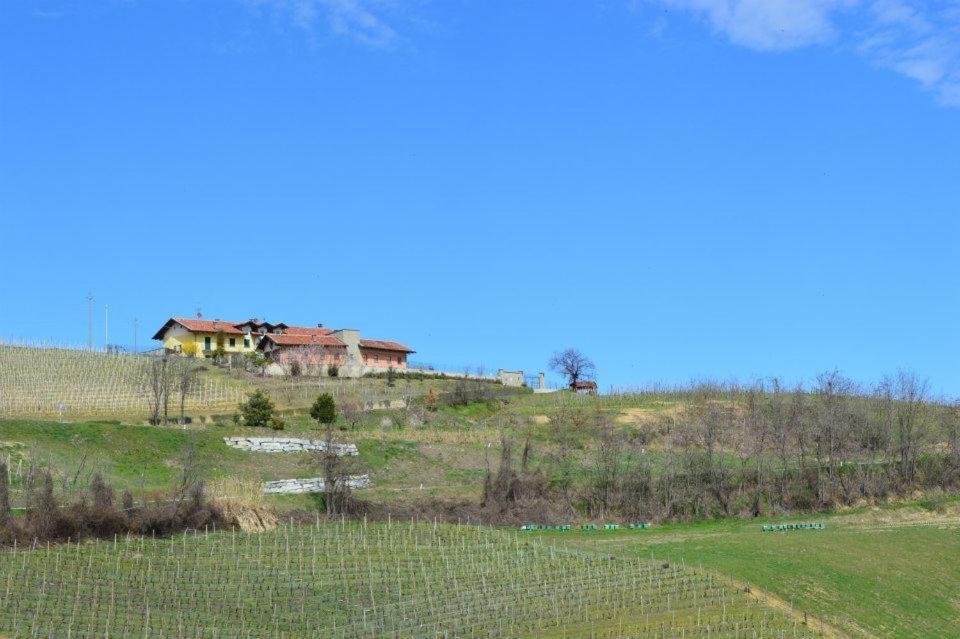 Agriturismo Cascina Rabalot Diano dʼAlba Buitenkant foto