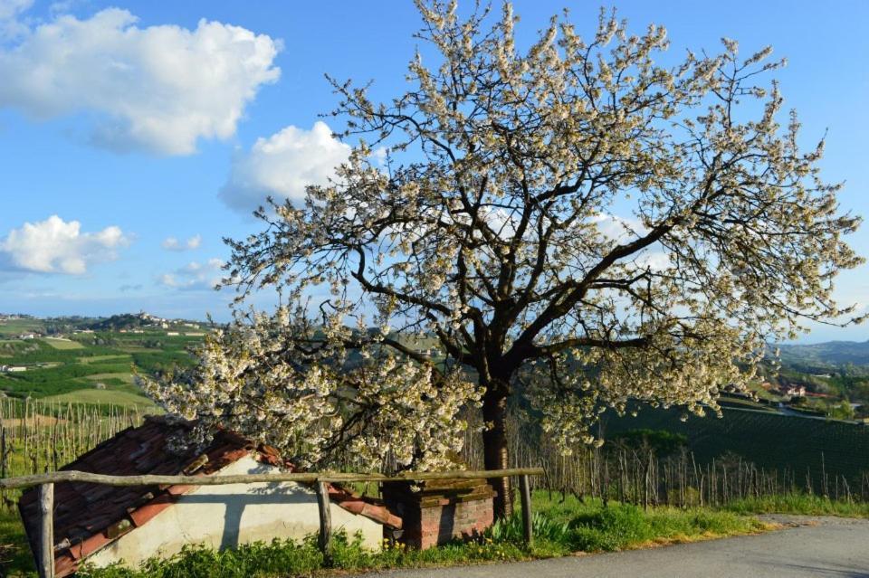 Agriturismo Cascina Rabalot Diano dʼAlba Buitenkant foto