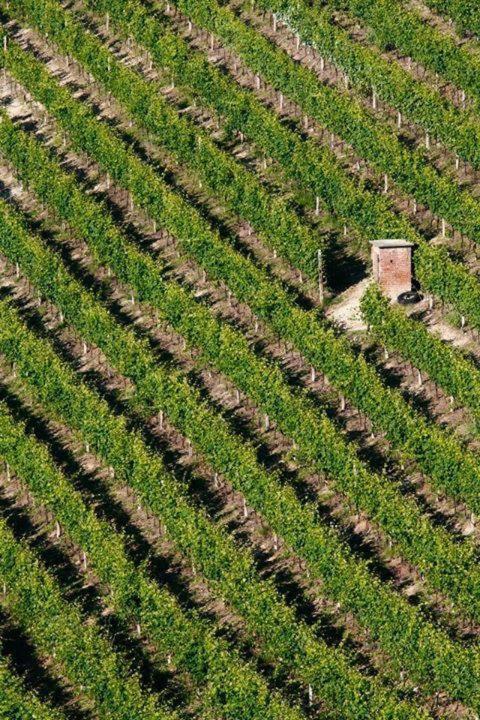 Agriturismo Cascina Rabalot Diano dʼAlba Buitenkant foto